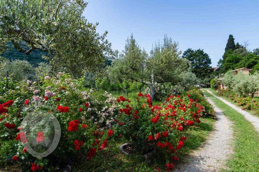 Villa in pietra a due passi da Cortona