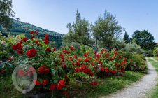 Villa in pietra a due passi da Cortona