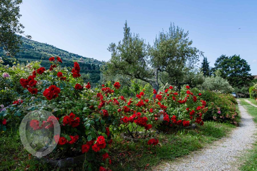 Villa in pietra a due passi da Cortona