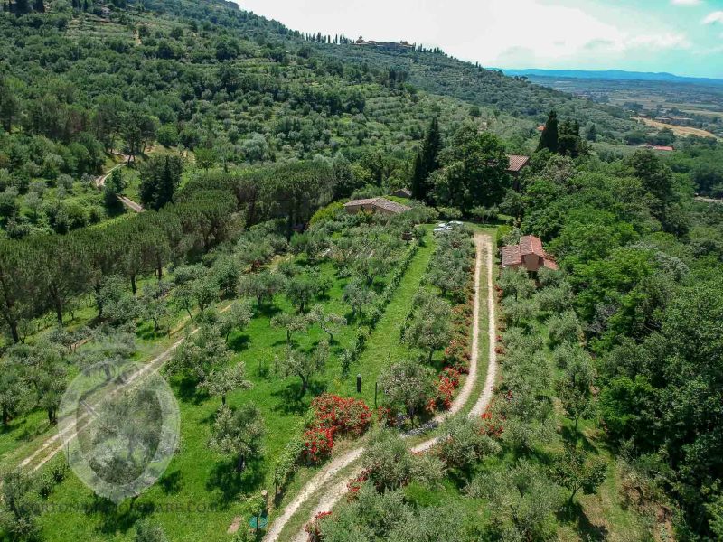 Stone villa a stone's throw from Cortona