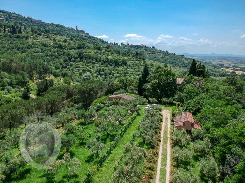 Stone villa a stone's throw from Cortona