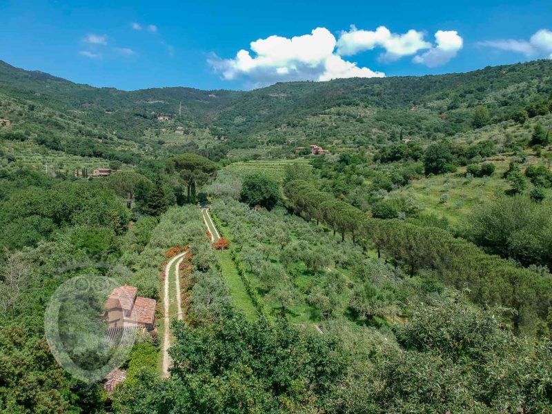 Stone villa a stone's throw from Cortona