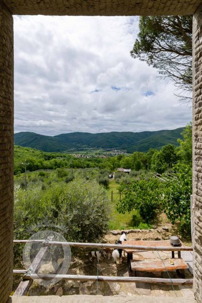 Farmhouse with breathtaking view