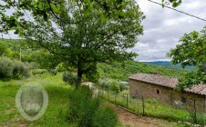 Farmhouse with breathtaking view