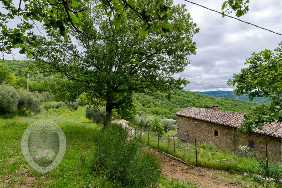 Farmhouse with breathtaking view