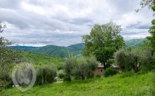 Farmhouse with breathtaking view