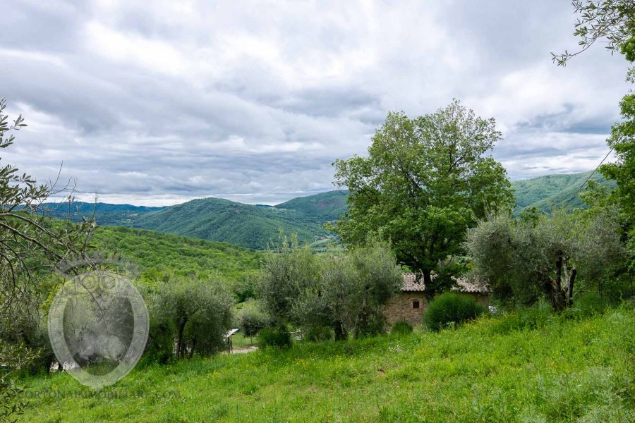 Farmhouse with breathtaking view