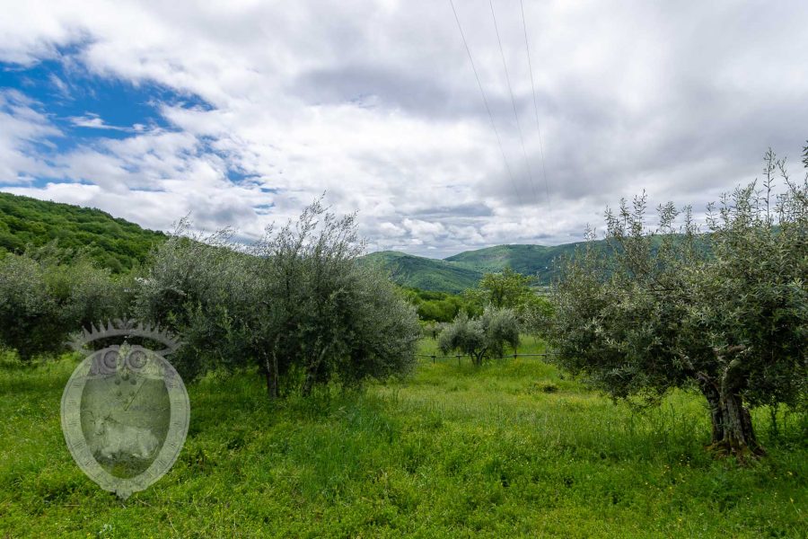 Casa colonica con vista mozzafiato