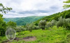 Farmhouse with breathtaking view