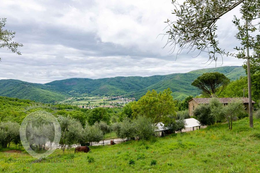 Farmhouse with breathtaking view