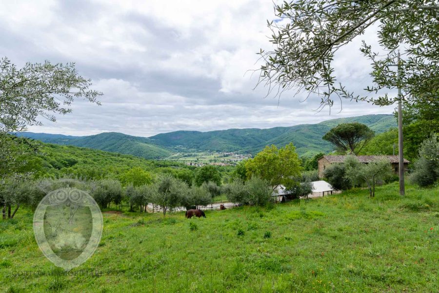 Farmhouse with breathtaking view