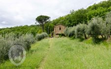 Farmhouse with breathtaking view