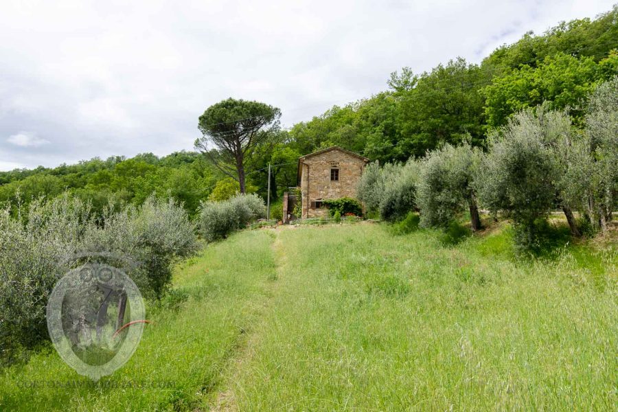 Farmhouse with breathtaking view