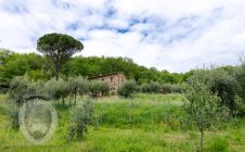 Farmhouse with breathtaking view