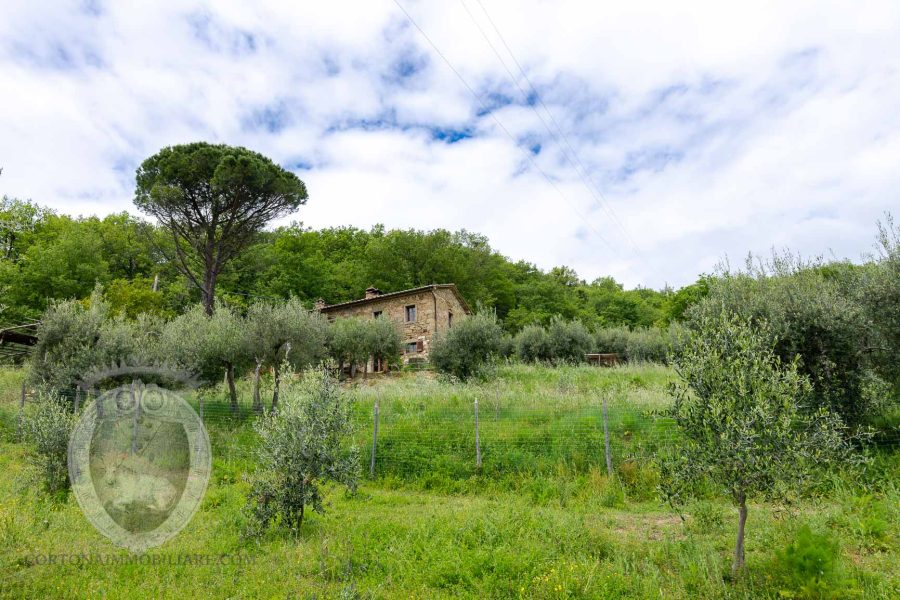 Farmhouse with breathtaking view