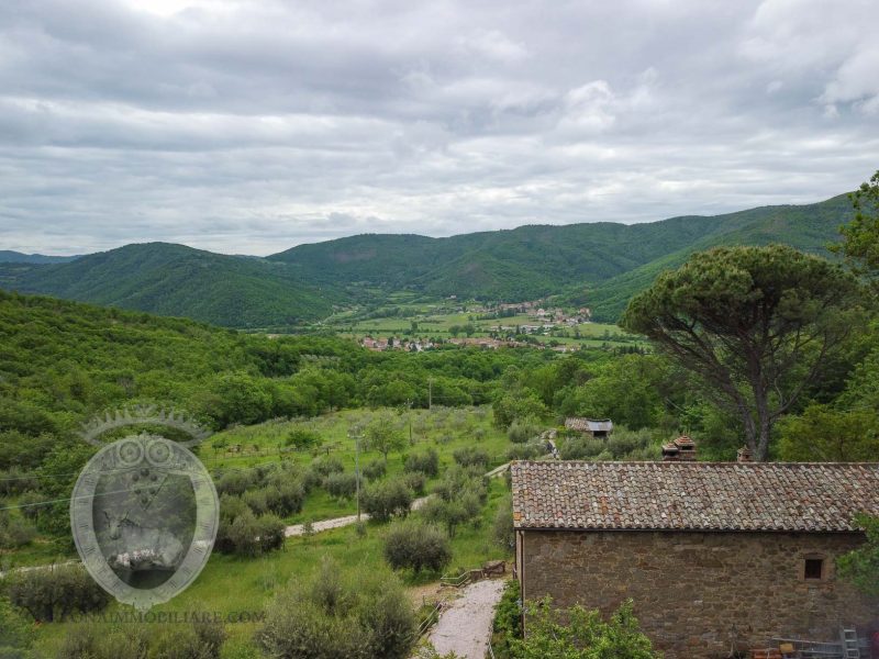 Casa colonica con vista mozzafiato