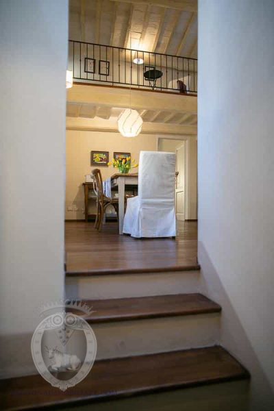 Newly renovated apartment in Cortona