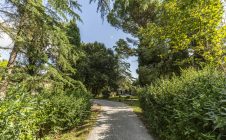 Villa con annessi e terreno