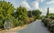 Casale con piscina panoramica