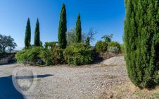 Colonica con giardino e annesso