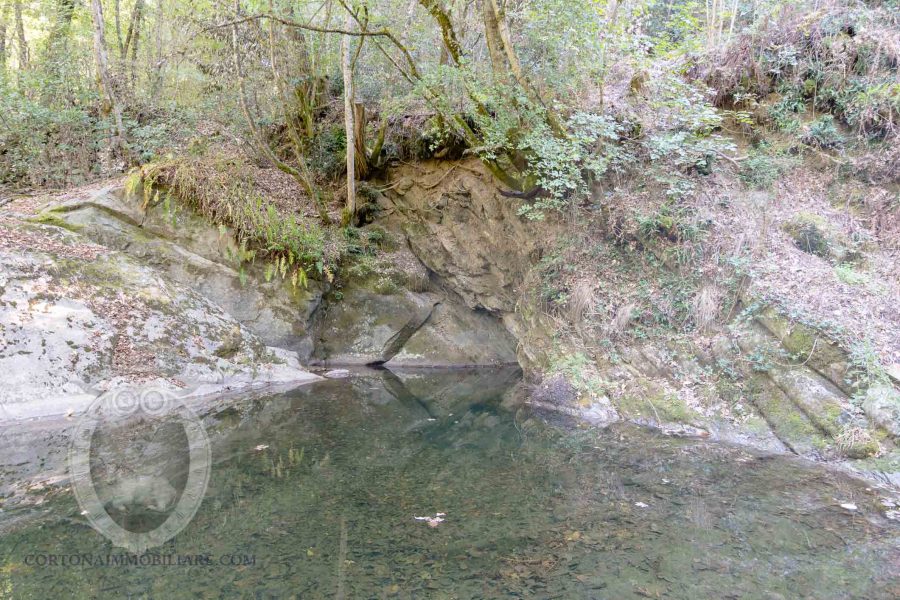 Casale con piscina giardino e terreno