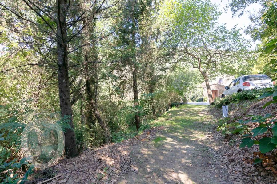 Casale con piscina giardino e terreno