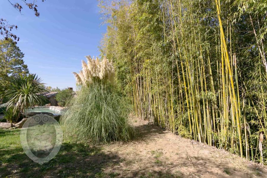 Casale con piscina giardino e terreno