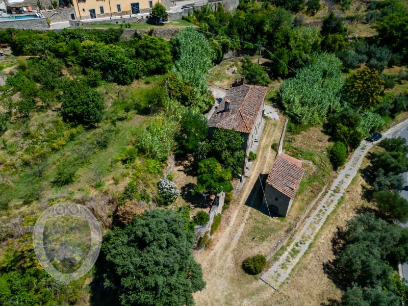 Farmhouse with garden and outbuilding