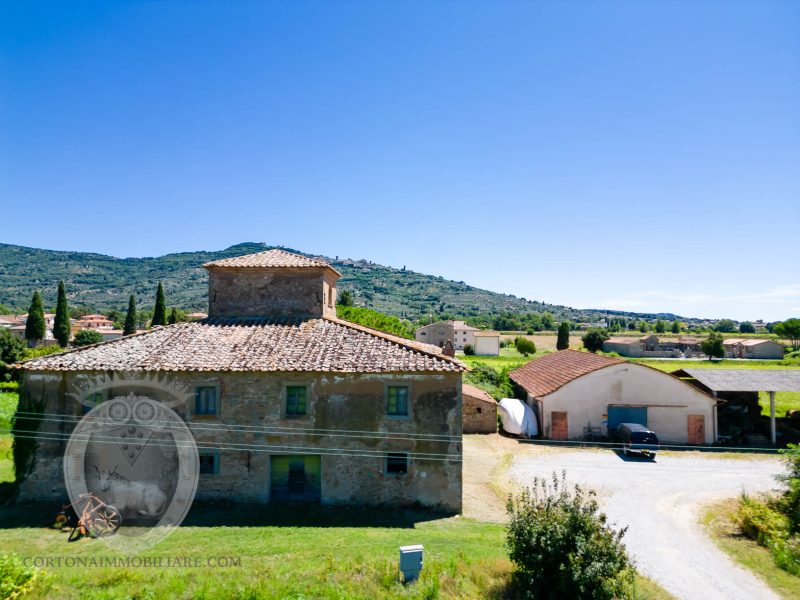 Property with Leopoldina and outbuildings