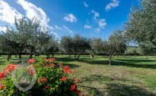 Villa con terreno, piscina e annessi