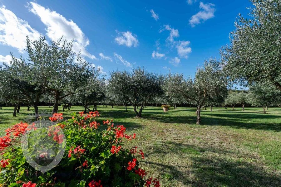 Villa con terreno, piscina e annessi