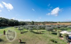 Villa con terreno, piscina e annessi