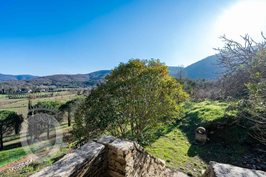 Casale con annessi e terreno