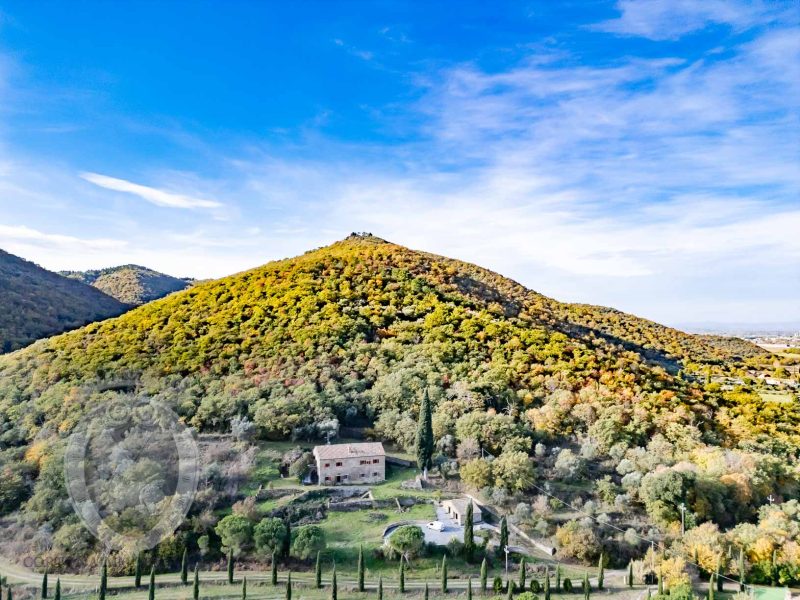 Casale con annessi e terreno