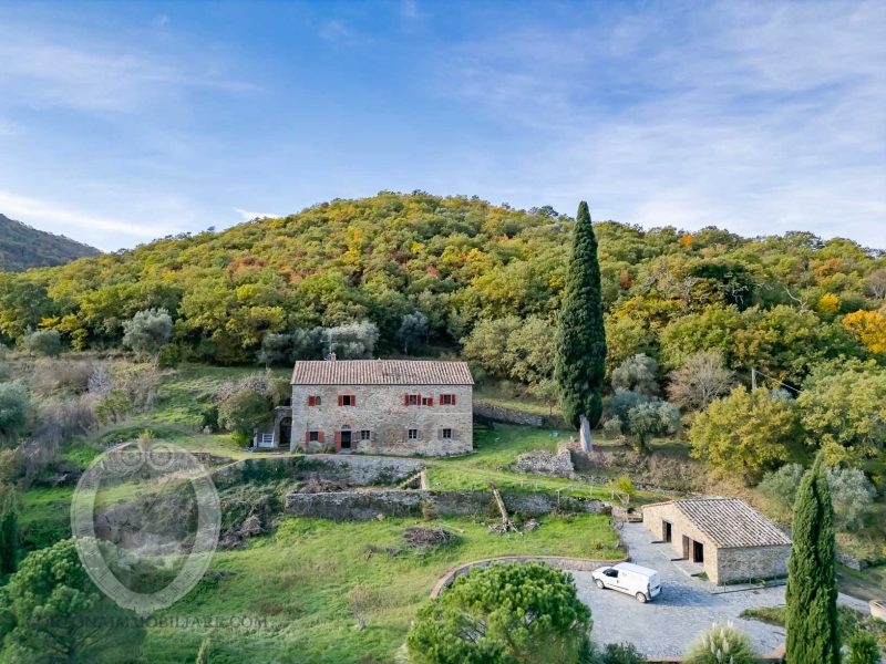 Farmhouse with annexes and land