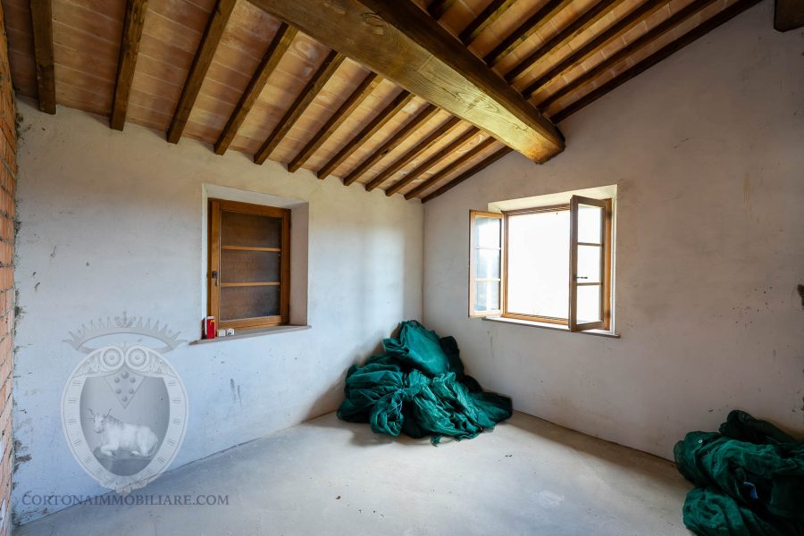 Detached house with forest and olive grove