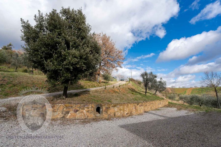 Villetta indipendente con bosco e uliveto