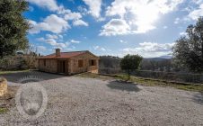 Detached house with forest and olive grove