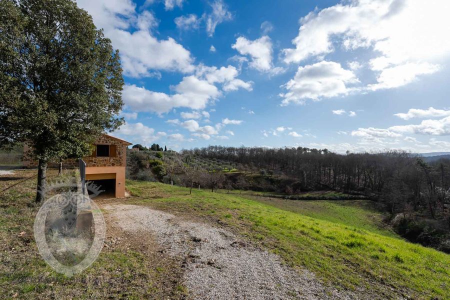 Villetta indipendente con bosco e uliveto