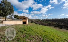 Detached house with forest and olive grove