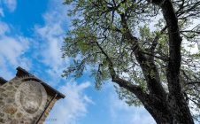 Casale con piscina e giardino