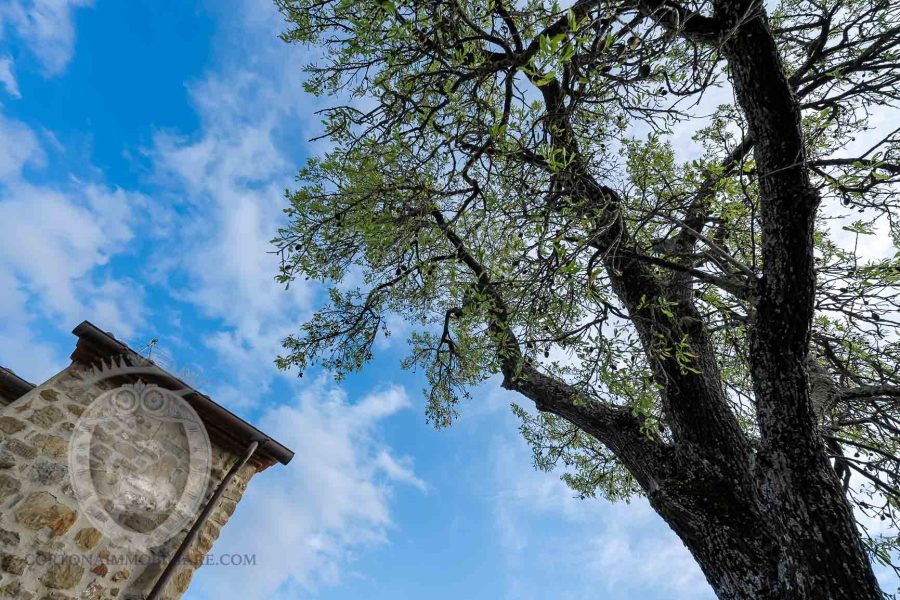 Casale con piscina e giardino