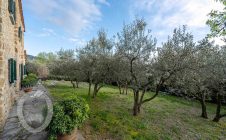 Farmhouse with swimming pool and garden