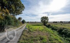 Farmhouse with annexes and land