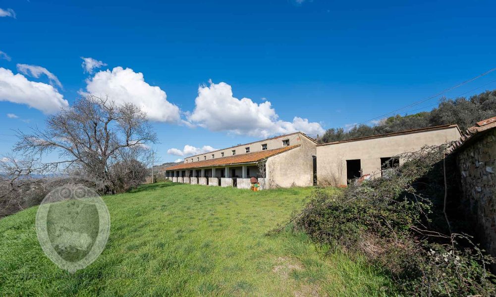 Leopoldina with outbuildings and land