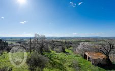 Leopoldina with outbuildings and land