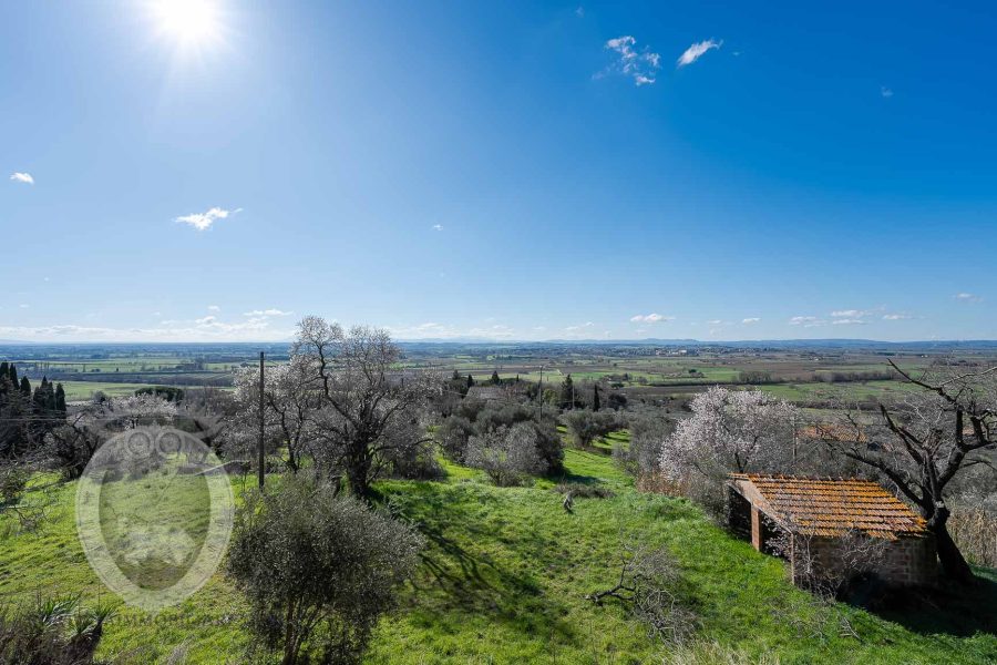 Leopoldina with outbuildings and land