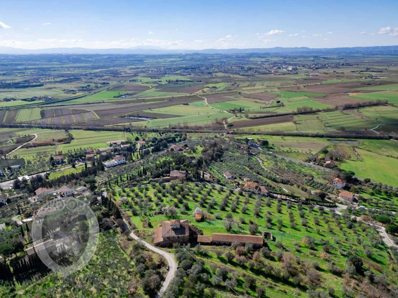 Leopoldina con annessi e terreno