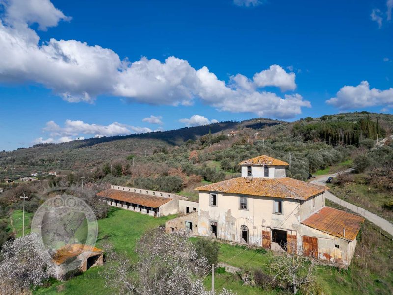 Leopoldina with outbuildings and land