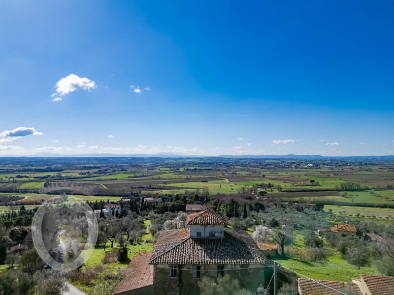 Leopoldina con annessi e terreno